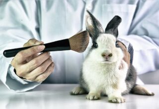 Conheça a campanha “Para Sempre Contra teste em Animais”